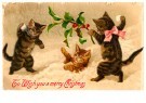 A.N.B.  - 
3 Kätzchen spielen im Schnee (Frohe Weihnachten) -
Postkaarten-set - 
1C2193-1