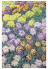 Claude Monet (1840-1926)  - 
Das Feld mit Chrysanthemen -
Postkaarten-set - 
A13478-1