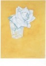 Piet Mondriaan (1872-1944)  - 
Weiße Rose im Glas -
Postkaarten-set - 
A6597-1