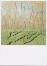 Claude Monet (1840-1926)  - 
Blick auf Bennecourt -
Postkaarten-set - 
A8156-1