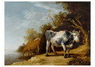 Paulus Potter (1625-1654)  - 
Cattle Standing on a Riverbank, 1649 -
Postkaarten-set - 
A91105-1