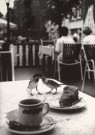 Cor de Kock (1946)  - 
Hausspatzen essen Apfelkuchen auf der Terrasse -
Postkaarten-set - 
B1860-1