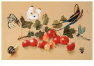 Hans Verhoef (1932)  - 
Verhoef, H./Butterfly serie 6 -
Postkaarten-set - 
C5779-1