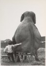 Mike Hollist  - 
M. Hollist/My pal the elephant -
Posters-set - 
PC110-1