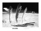 Jackna  - 
Three Feathers/Joe Jachna -
Postkaarten-set - 
PS072-1