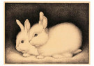 Jan Mankes(1889-1920)  - 
Zwei Hasen -
Postkaarten-set - 
QA25247-1