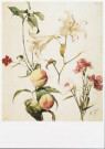 H.Ellens  - 
Studium der Blumen und Früchte, ca. 1891 -
Postkaarten-set - 
QA9435-1