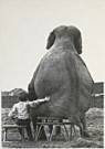 Mike Hollist  - 
Hollist / My pal the elephant / WPP -
Postkaarten-set - 
QB015-1