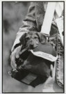 Buschman Velbert  - 
Rasterpunkt/Dog in a bag -
Postkaarten-set - 
QB2546-1
