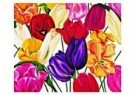 Marianne Furrer  - 
A mania for tulipsIII -
Postkaarten-set - 
QC349-1