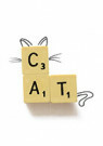 Cintascotch (J. P. Estrella)  - 
Cat scrabble -
Boeken, schrijfwaren, etc.-set - 
RPC064-1