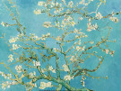 Vincent van Gogh (1853-1890)  - 
Almond blossom, 1890 -
Postkaarten-set - 
RPCA75765-1